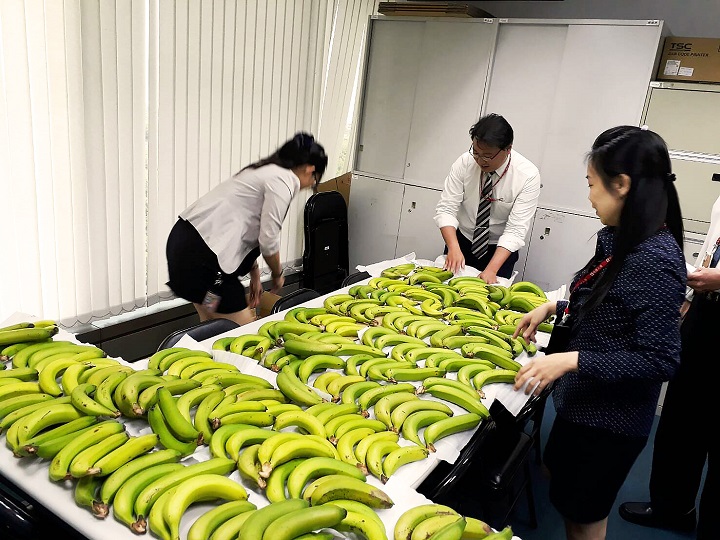 極端氣候災情多 中國人壽採購盛產香蕉助農民作公益內文1圖片